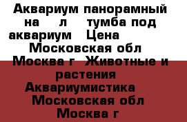 Аквариум панорамный на 280л.   тумба под аквариум › Цена ­ 22 000 - Московская обл., Москва г. Животные и растения » Аквариумистика   . Московская обл.,Москва г.